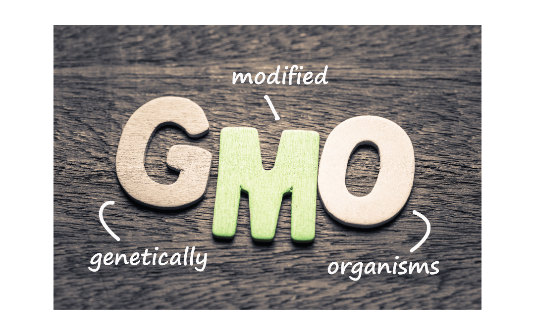 What to do about GMOs!