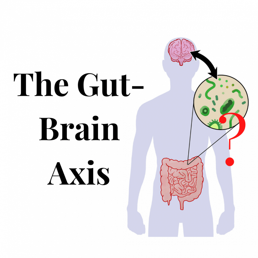 Understanding Your Gut-Brain Axis | Raleigh Natural Wellness